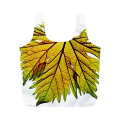 Leaf Grape Vine Sunlight Garden Full Print Recycle Bag (m) by Pakrebo