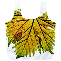 Leaf Grape Vine Sunlight Garden Full Print Recycle Bag (xl) by Pakrebo