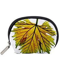 Leaf Grape Vine Sunlight Garden Accessory Pouch (small) by Pakrebo