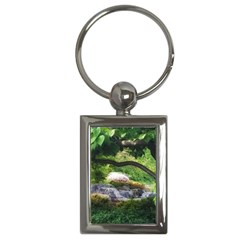 Chicago Garden Of The Phoenix Key Chains (rectangle)  by Riverwoman