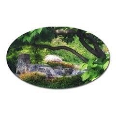 Chicago Garden of the Phoenix Oval Magnet