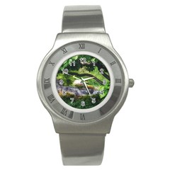 Chicago Garden of the Phoenix Stainless Steel Watch