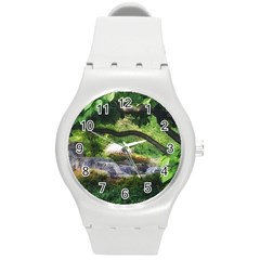 Chicago Garden of the Phoenix Round Plastic Sport Watch (M)