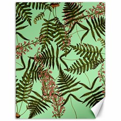 Fern Green Canvas 12  X 16  by snowwhitegirl