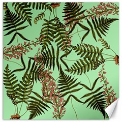 Fern Green Canvas 16  X 16  by snowwhitegirl