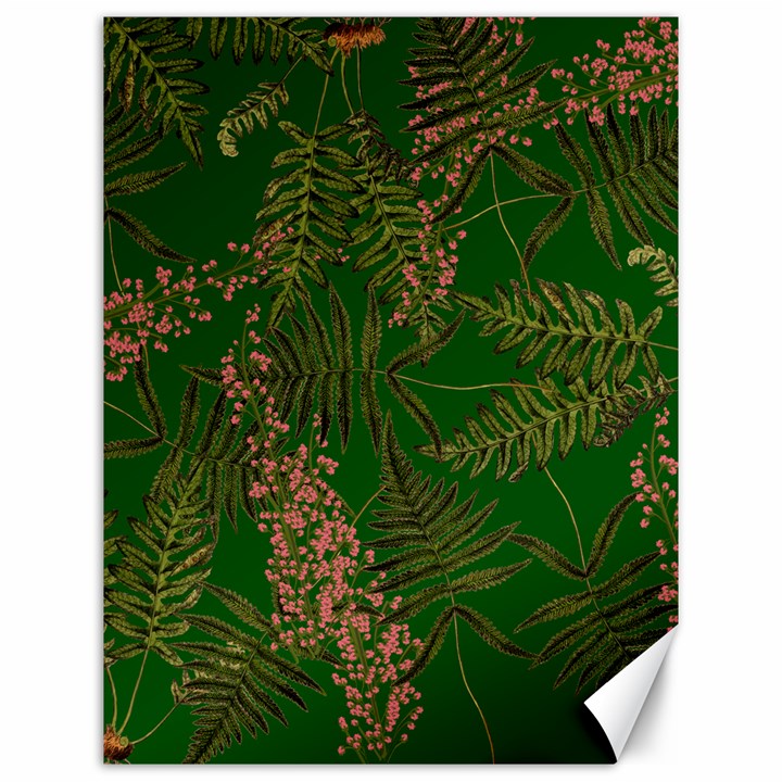 Fern Dark Green Canvas 12  x 16 