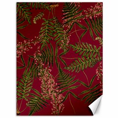 Fern Red Canvas 36  x 48 