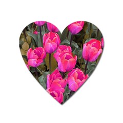 Pink Tulips Heart Magnet by snowwhitegirl