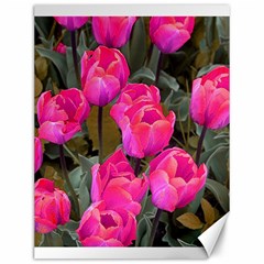 Pink Tulips Canvas 12  X 16  by snowwhitegirl