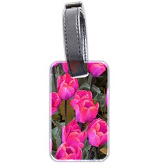 Pink Tulips Luggage Tags (two Sides) by snowwhitegirl