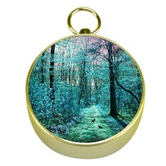 Blue Forest Gold Compasses by snowwhitegirl