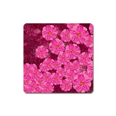 Cherry Blossoms Floral Design Square Magnet by Pakrebo