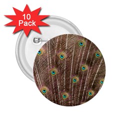 Peacock Feather Bird Exhibition 2 25  Buttons (10 Pack)  by Pakrebo