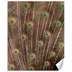 Peacock Feather Bird Exhibition Canvas 16  X 20  by Pakrebo