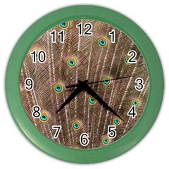 Peacock Feather Bird Exhibition Color Wall Clock by Pakrebo