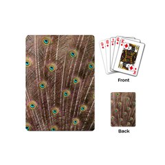 Peacock Feather Bird Exhibition Playing Cards (mini) by Pakrebo