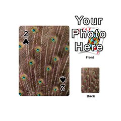 Peacock Feather Bird Exhibition Playing Cards 54 (mini) by Pakrebo