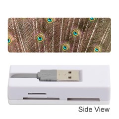 Peacock Feather Bird Exhibition Memory Card Reader (stick) by Pakrebo