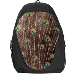 Peacock Feather Bird Exhibition Backpack Bag by Pakrebo