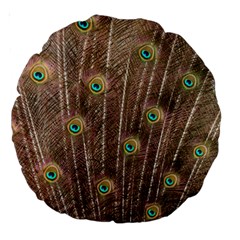 Peacock Feather Bird Exhibition Large 18  Premium Round Cushions by Pakrebo