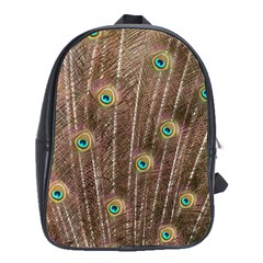 Peacock Feather Bird Exhibition School Bag (xl) by Pakrebo