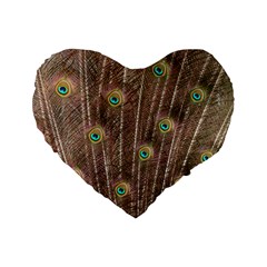 Peacock Feather Bird Exhibition Standard 16  Premium Flano Heart Shape Cushions by Pakrebo