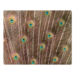 Peacock Feather Bird Exhibition Double Sided Flano Blanket (large)  by Pakrebo