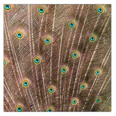 Peacock Feather Bird Exhibition Large Satin Scarf (square) by Pakrebo