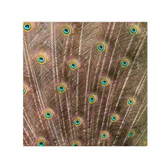 Peacock Feather Bird Exhibition Small Satin Scarf (square) by Pakrebo