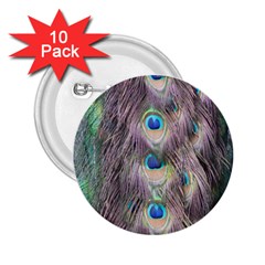 Peacock Bird Pattern 2 25  Buttons (10 Pack)  by Pakrebo