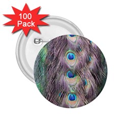 Peacock Bird Pattern 2 25  Buttons (100 Pack)  by Pakrebo