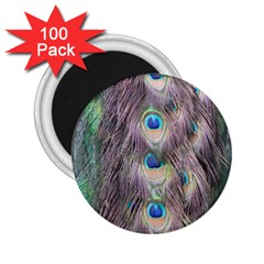 Peacock Bird Pattern 2 25  Magnets (100 Pack)  by Pakrebo