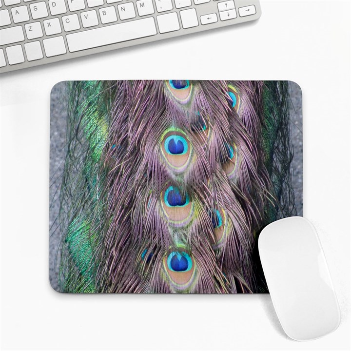 Peacock Bird Pattern Large Mousepads