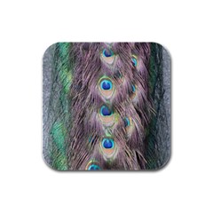 Peacock Bird Pattern Rubber Square Coaster (4 Pack)  by Pakrebo