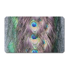 Peacock Bird Pattern Magnet (rectangular) by Pakrebo