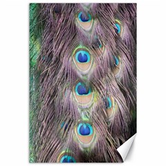 Peacock Bird Pattern Canvas 24  X 36  by Pakrebo