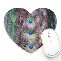 Peacock Bird Pattern Heart Mousepads by Pakrebo