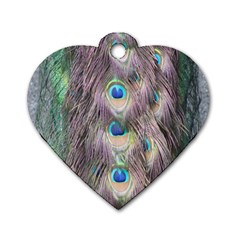 Peacock Bird Pattern Dog Tag Heart (two Sides) by Pakrebo