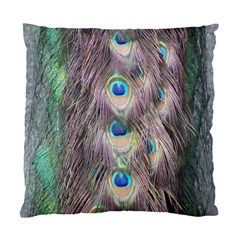 Peacock Bird Pattern Standard Cushion Case (two Sides) by Pakrebo