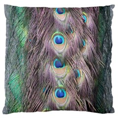 Peacock Bird Pattern Large Cushion Case (two Sides) by Pakrebo