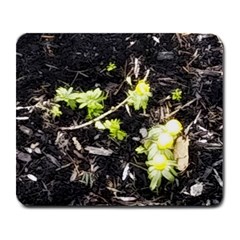 Signs Of Spring Large Mousepads