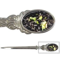 Signs Of Spring Letter Opener by Riverwoman