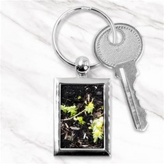 Signs Of Spring Key Chains (rectangle)  by Riverwoman