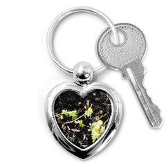 Signs Of Spring Key Chains (heart)  by Riverwoman