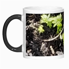 Signs Of Spring Morph Mugs by Riverwoman