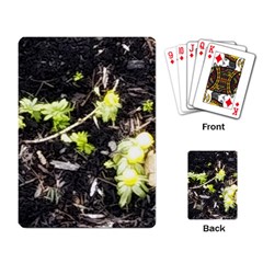 Signs Of Spring Playing Cards Single Design by Riverwoman