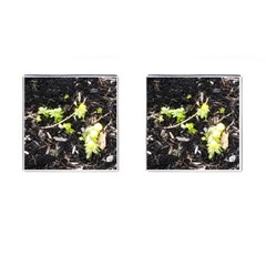 Signs Of Spring Cufflinks (square) by Riverwoman