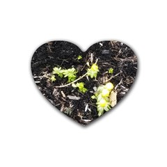 Signs Of Spring Rubber Coaster (heart)  by Riverwoman