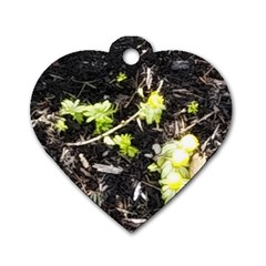 Signs Of Spring Dog Tag Heart (one Side) by Riverwoman