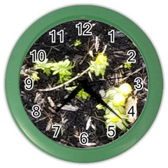 Signs Of Spring Color Wall Clock by Riverwoman